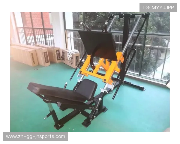 高性价比健身器材品牌推荐助你高效塑造理想身材